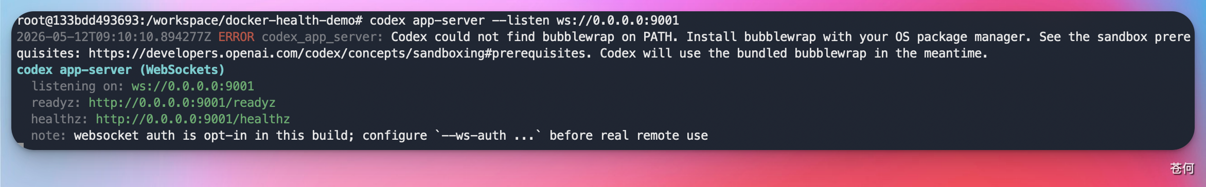 image-20260512173352946